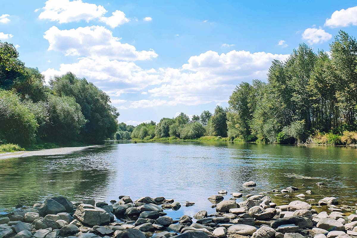 a beautiful blue river surrounded by evergreen trees