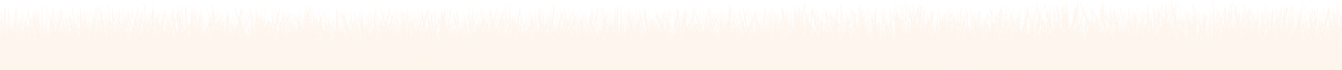 grass border