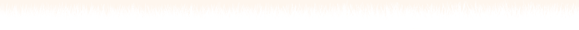 grass border