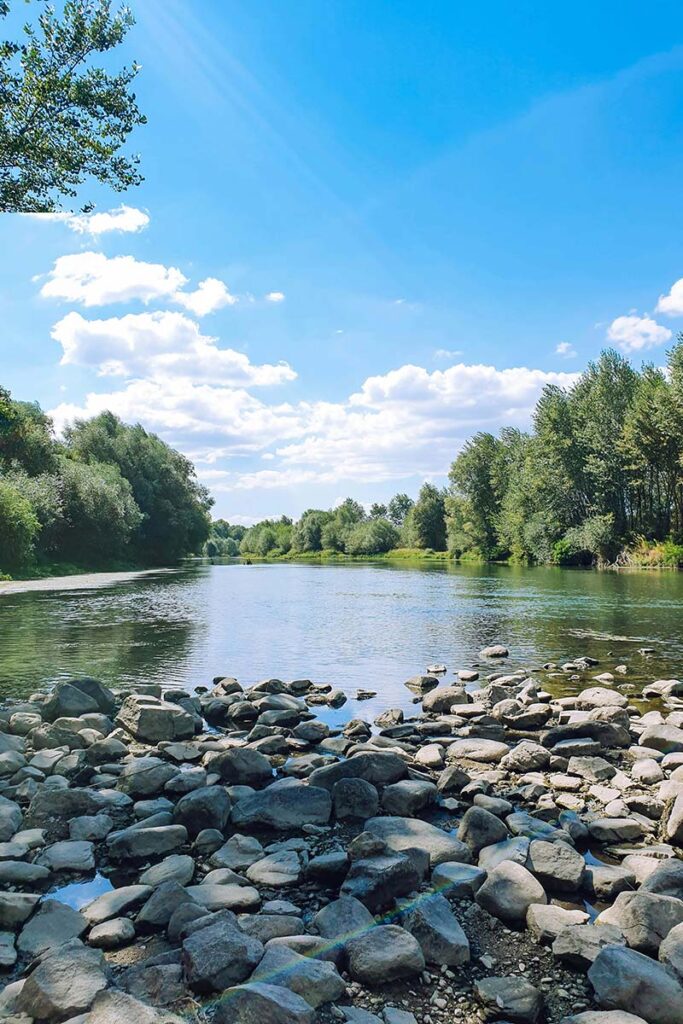 a beautiful blue river surrounded by evergreen trees