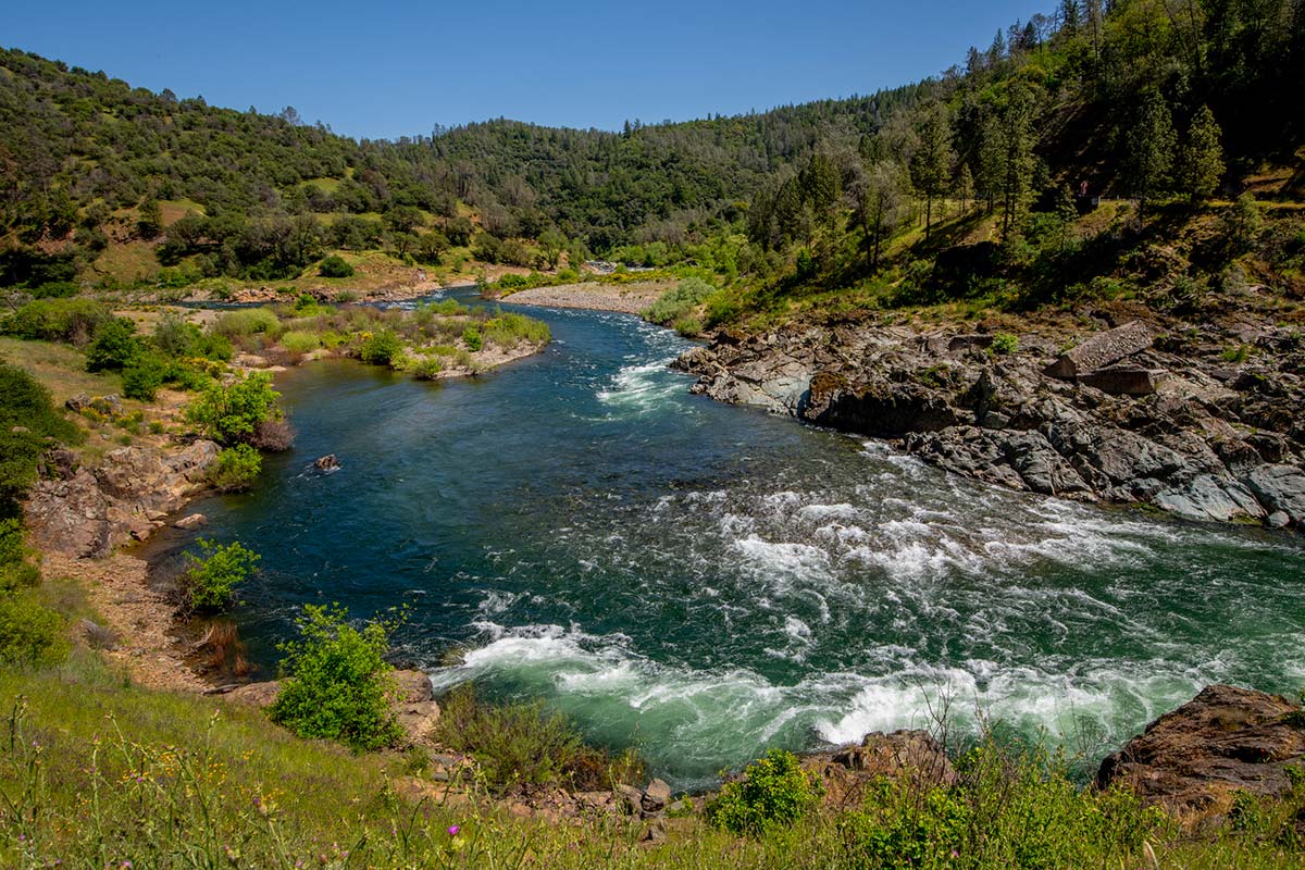 a beautiful blue river surrounded by evergreen trees