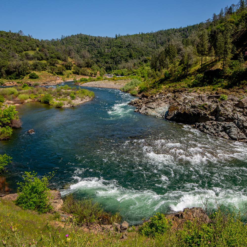 a beautiful blue river surrounded by evergreen trees