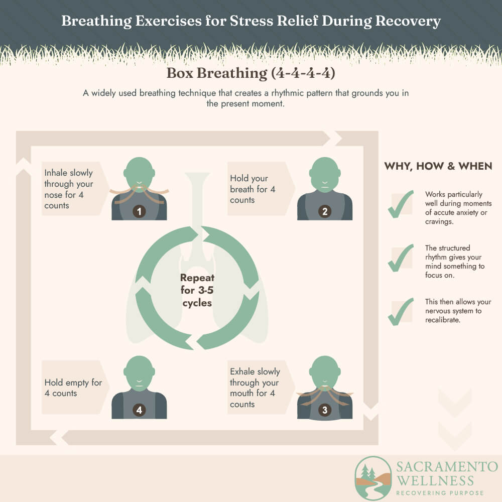 Box Breathing (4-4-4-4)